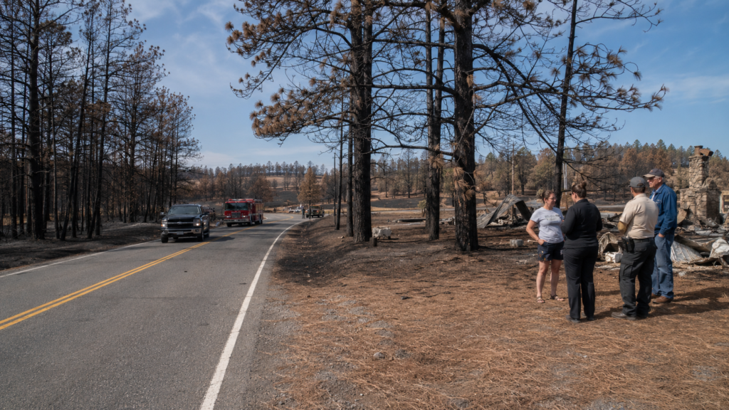 Georgia Wildfires