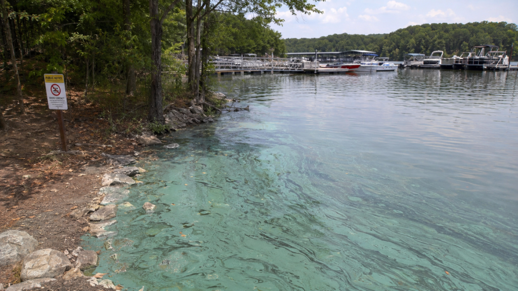 Lake Allatoona contamination